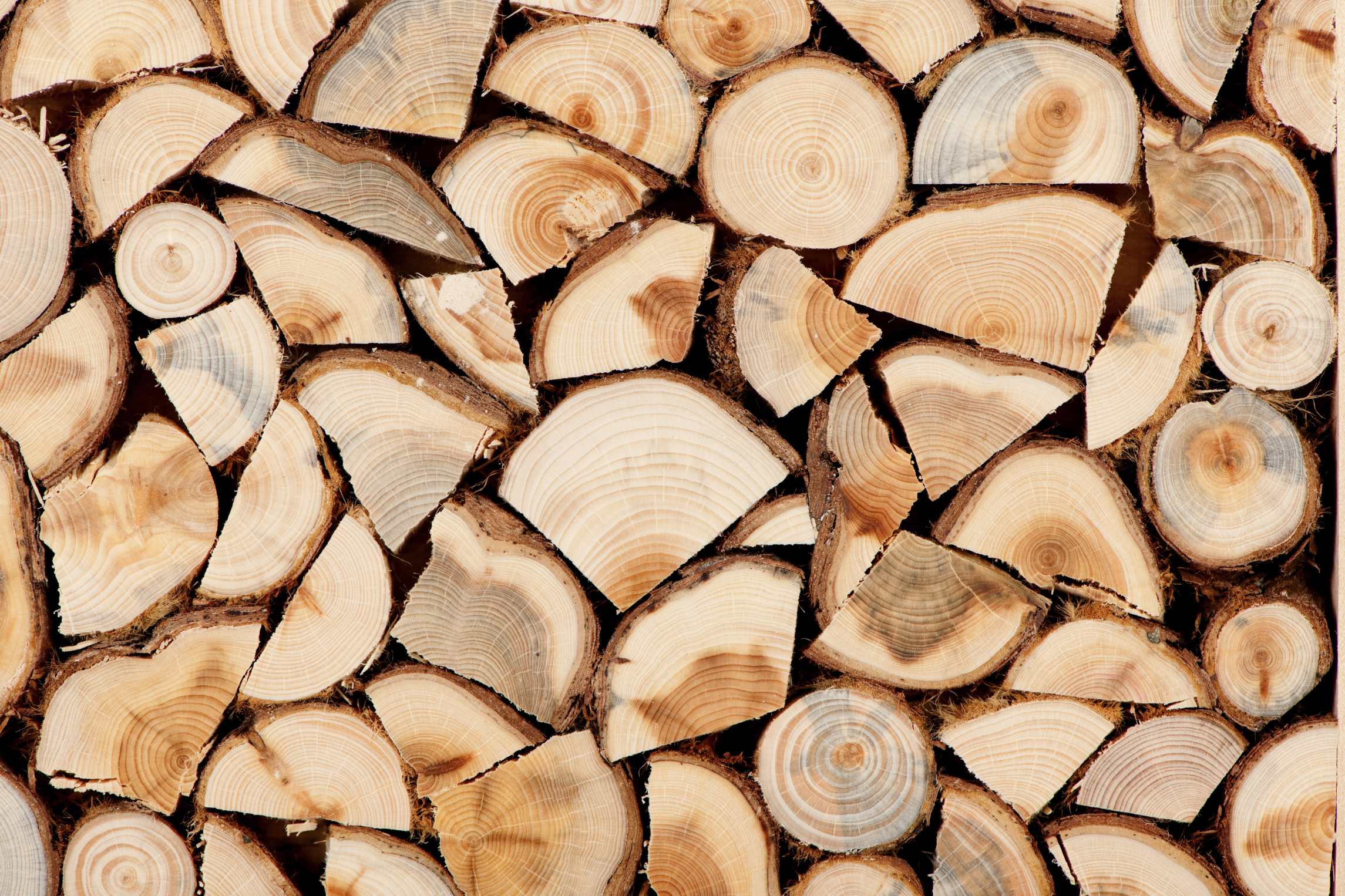 Склад за дървен материал Родопи Лес БГ 26655