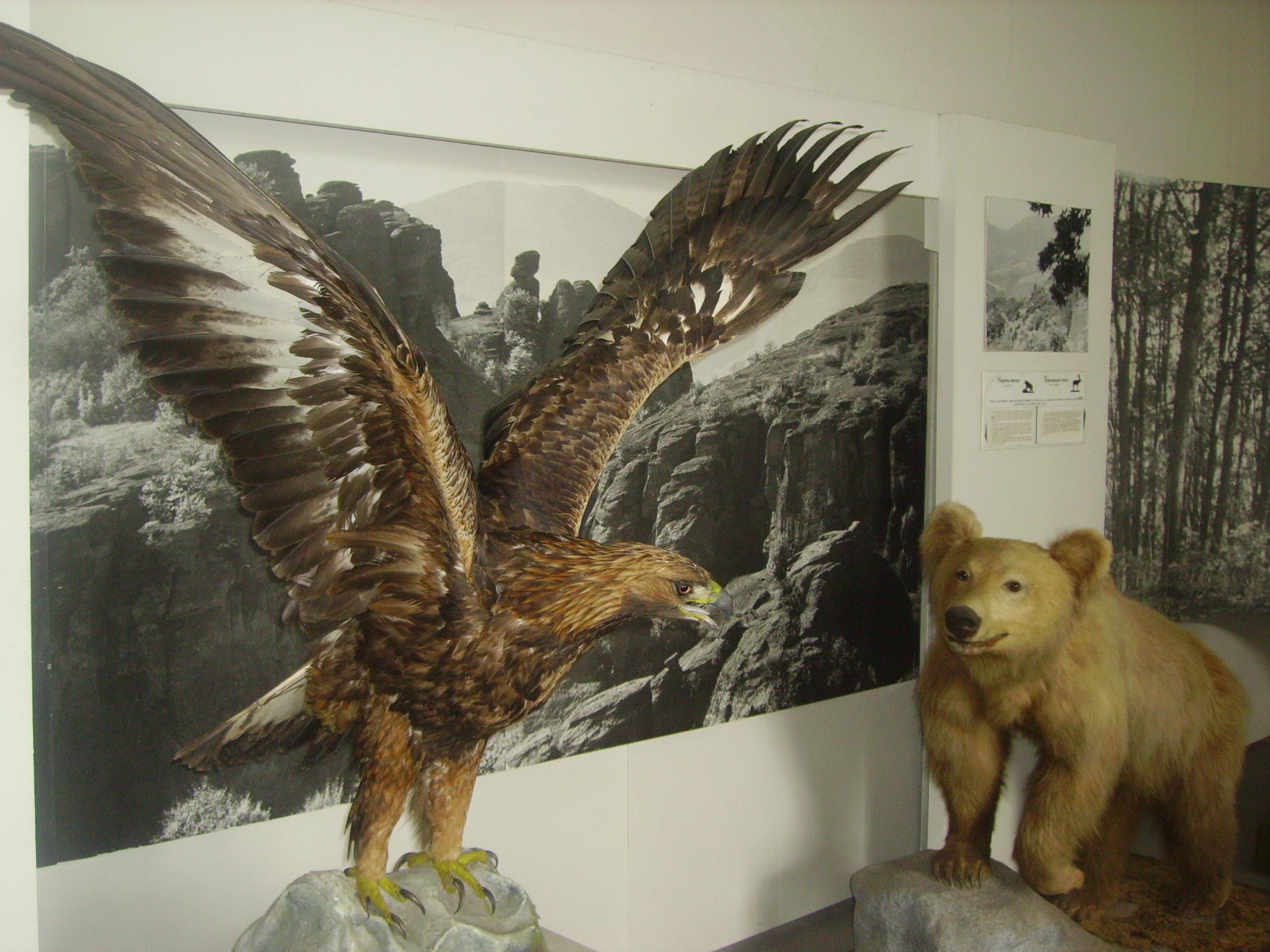 Природонаучен музей Черни Осъм 19621